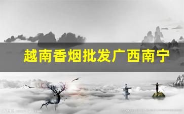 越南香烟批发广西南宁越南烟批发-东兴越南烟供货商