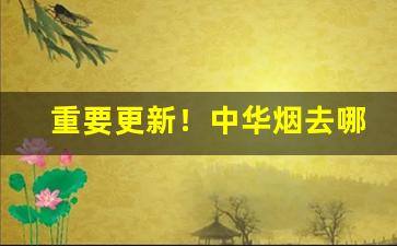 重要更新！中华烟去哪里买便宜“备豫不虞”