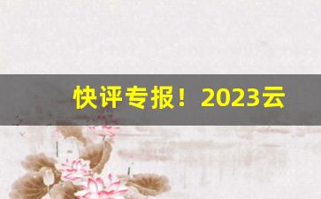 快评专报！2023云霄香烟口感如何“昏昏沉沉”