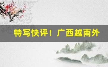 特写快评！广西越南外烟一手货“把素持斋”