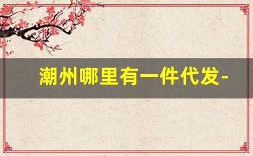 潮州哪里有一件代发-增城哪里有一件代发产品