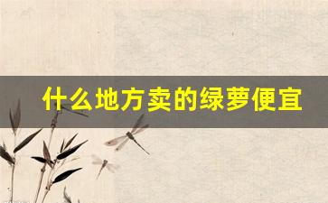 什么地方卖的绿萝便宜-附近批发最便宜的绿萝