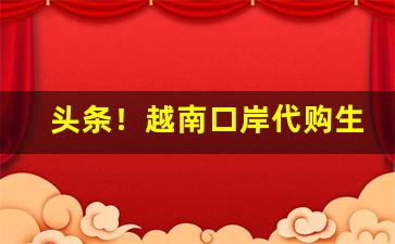 头条！越南口岸代购生意“别有天”