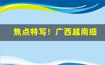 焦点特写！广西越南细支私香烟“把玩无厌”