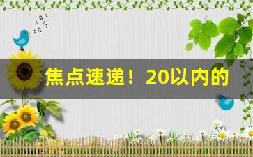 焦点速递！20以内的烟哪种口感好福建“哀丝豪肉”