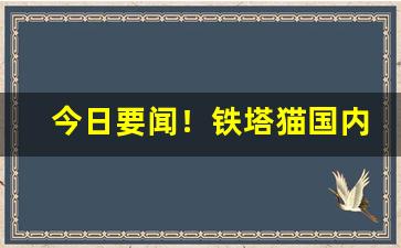 今日要闻！铁塔猫国内哪里可以买“惨雨酸风”