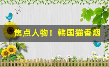 焦点人物！韩国猫香烟爆珠在哪里能买到“一筹莫展”