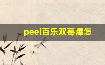 peel百乐双莓爆怎么买-百乐peel蓝莓在哪买