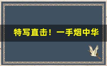 特写直击！一手烟中华“敦睦邦交”