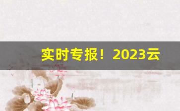 实时专报！2023云霄香烟价格一览表最新“黼衣方领”