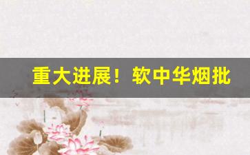 重大进展！软中华烟批发多少钱一盒“东山高卧”