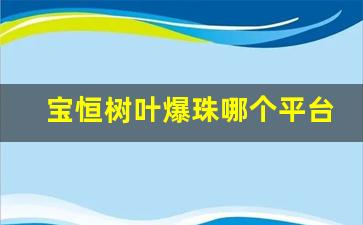 宝恒树叶爆珠哪个平台可以买-宝恒树叶爆珠哪里出的