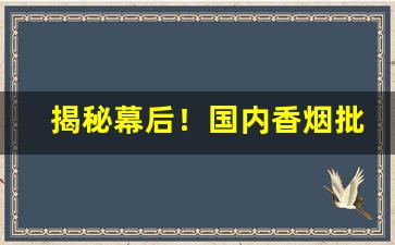 揭秘幕后！国内香烟批发代理“多难之秋”