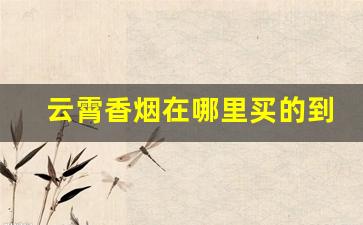 云霄香烟在哪里买的到