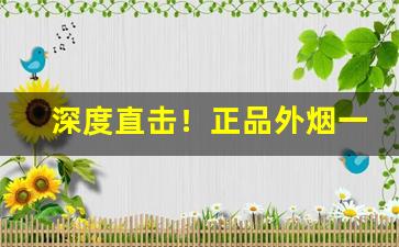 深度直击！正品外烟一手货源供应商“春色撩人”