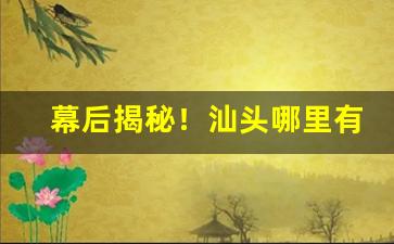 幕后揭秘！汕头哪里有批发香烟的“风门水口”