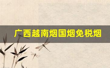 广西越南烟国烟免税烟一手代理货源-越南进口烟专卖网