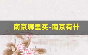 南京哪里买-南京有什么好买的