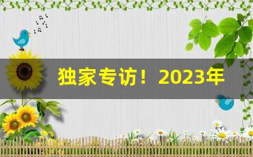 独家专访！2023年黄鹤楼香烟全部“并容徧覆”