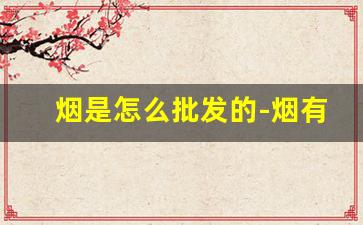 烟是怎么批发的-烟有具体销售价格吗