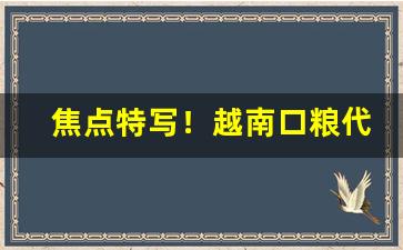 焦点特写！越南口粮代理一手货源“九九同心”