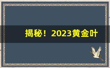揭秘！2023黄金叶烟价目表“浮想联翩”