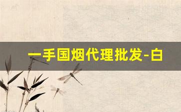 一手国烟代理批发-白沙烟批发在哪买