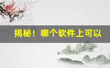 揭秘！哪个软件上可以买外国烟“公门有公”