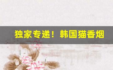 独家专递！韩国猫香烟代购“安身之地”