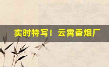 实时特写！云霄香烟厂家直销一手货源网“才竭智疲”