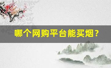 哪个网购平台能买烟？-在哪里买烟靠谱