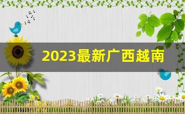 2023最新广西越南私香烟代理商-广西香烟品牌大全2003年