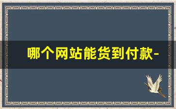 哪个网站能货到付款-网上货到付款商品