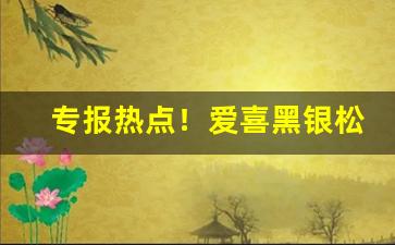 专报热点！爱喜黑银松香烟“家中全福”