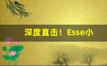 深度直击！Esse小金鱼“气冲牛斗”