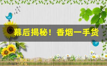 幕后揭秘！香烟一手货源信誉保证“鼎镬刀锯”