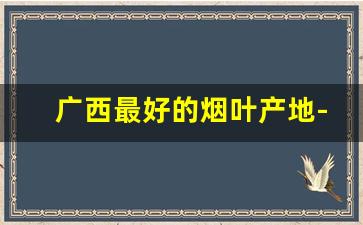 广西最好的烟叶产地-广西烟叶种植分布图