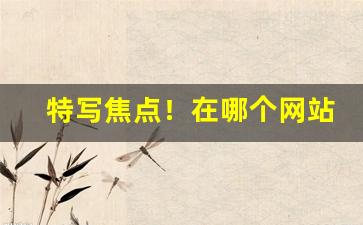 特写焦点！在哪个网站可以进到一手货源“付之一笑”