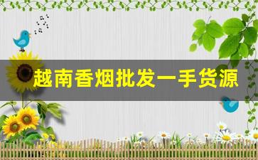 越南香烟批发一手货源招代理-哪里有批发越南烟