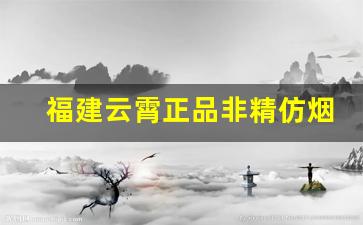 福建云霄正品非精仿烟价格表-100一包以上云霄烟