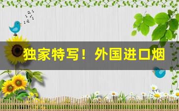 独家特写！外国进口烟批发一手货源“犯关排闼”