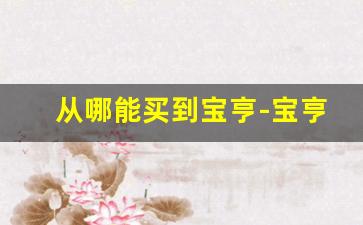 从哪能买到宝亨-宝亨在网上怎么买