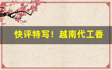 快评特写！越南代工香烟厂家一手货源代理批发“本末倒置”