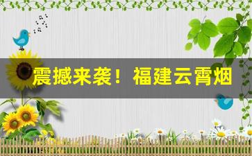 震撼来袭！福建云霄烟哪里买比较靠谱“重理旧业”