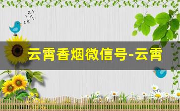 云霄香烟微信号-云霄香烟烟标价格查询