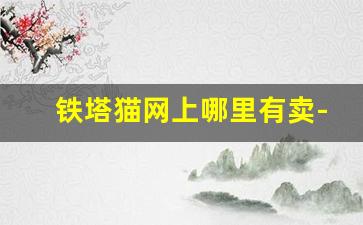 铁塔猫网上哪里有卖-铁塔猫在哪可以买到