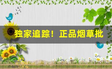 独家追踪！正品烟草批发市场进货网“矮子观场”