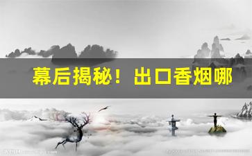 幕后揭秘！出口香烟哪里能买到“拨云撩雨”
