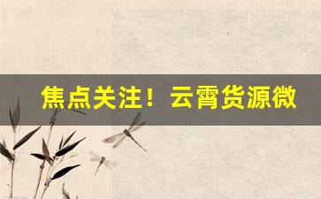 焦点关注！云霄货源微信：独家渠道供货“分桃断袖”