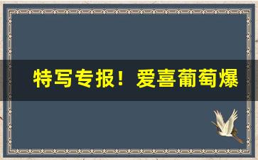 特写专报！爱喜葡萄爆珠烟多少钱一包啊“更姓改物”